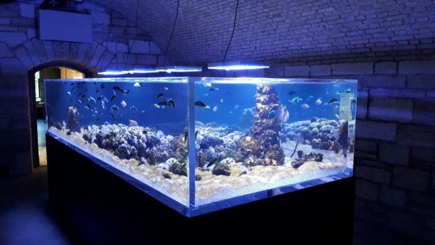 Lola App In City Center, 4+1 Pax プーラ エクステリア 写真